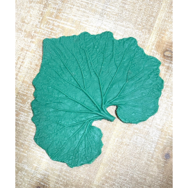 Large Rubber Cineraria Leaf Form